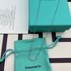 Tiffany & Co. Sterling Silver Pavé Curve Necklace with Signature Blue